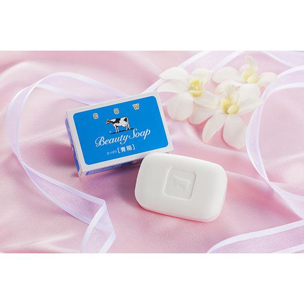 ミューズ 石鹸 レギュラー 95g 1パック(3個入) 固形石鹸 浴用 ミューズ 石鹸 レギュラー 95g 1パック(3個入) 固形石鹸 浴用