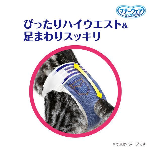 猫マナーウエアSサイズ38枚入り5袋