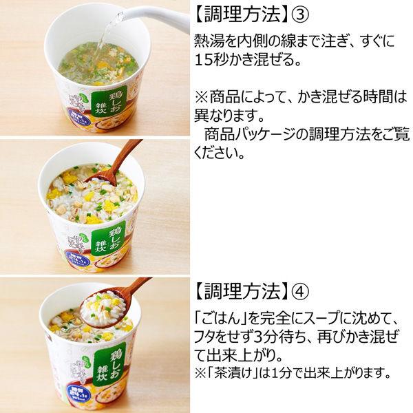 LOHACO - 丸美屋 スープdeごはん 鶏しお雑炊（押し麦ごはん付き） 70.3g