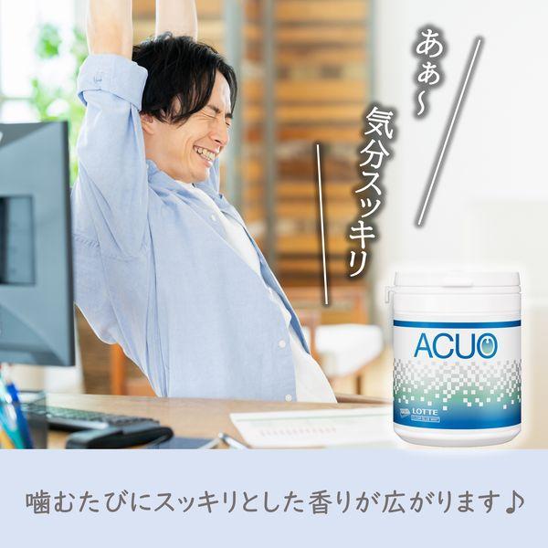 LOHACO - ACUO＜クリアブルーミント＞ファミリーボトル 2個 ロッテ