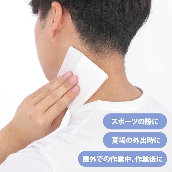 LOHACO - 【セール】激爽快さらさらボディシート 40枚 昭和紙工 汗拭き
