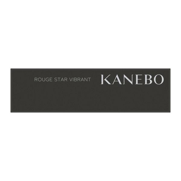 LOHACO - KANEBO（カネボウ） ルージュスターヴァイブラント V09