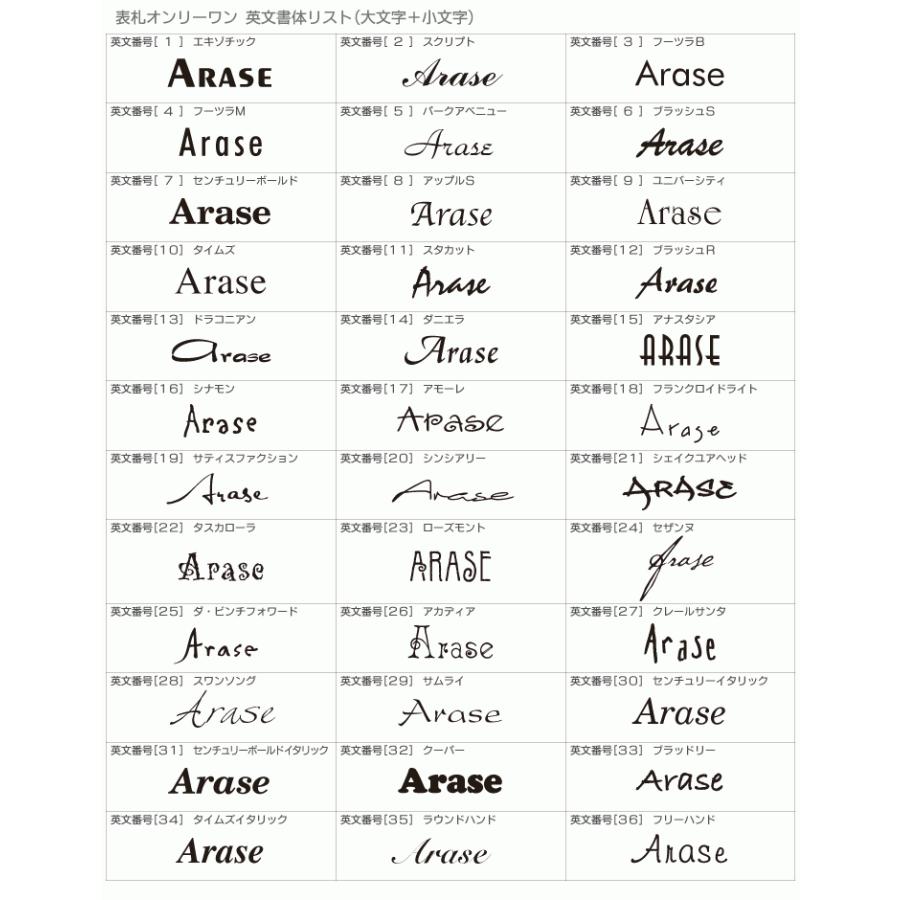 ARASE 表札 梨地ステンレス シーサー N122 浮き彫り 凸文字