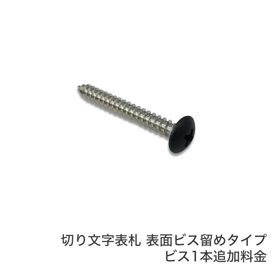 ARASE 切り文字表札用ビス 1本 ( 表面ビス留めアンカータイプ用