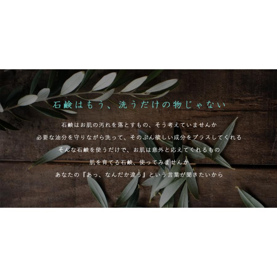 洗顔 石鹸 ジェニアル モイスチュアソープ 75g 天然成分100％ jenial |  | 06