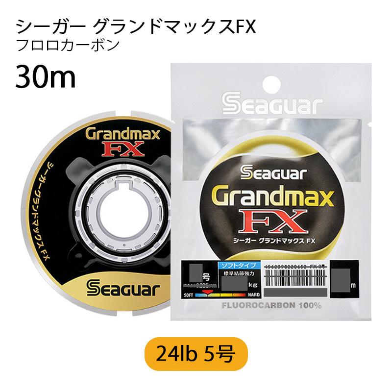 Seaguar（シーガー） グランドマックスFX フロロカーボン ショック