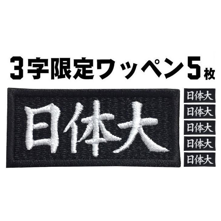 5枚入 3文字限定 ネーム刺繍 セミオーダー ワッペン アイロン接着