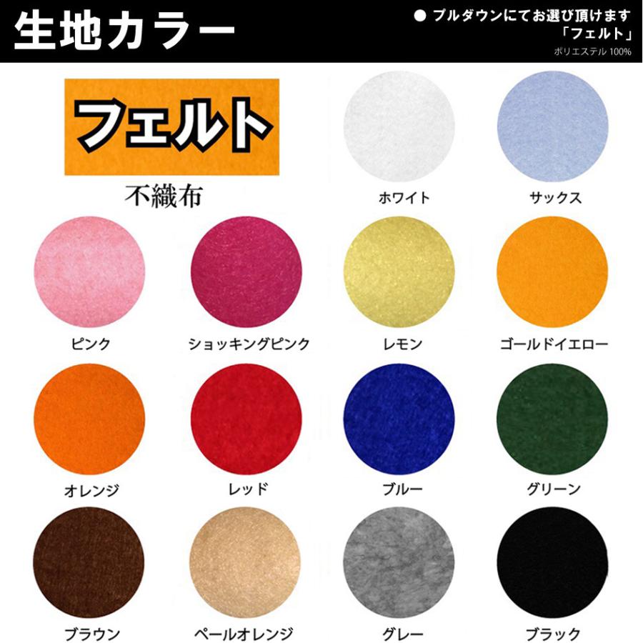 5枚入 7文字限定 ネーム刺繍 セミオーダー ワッペン アイロン接着