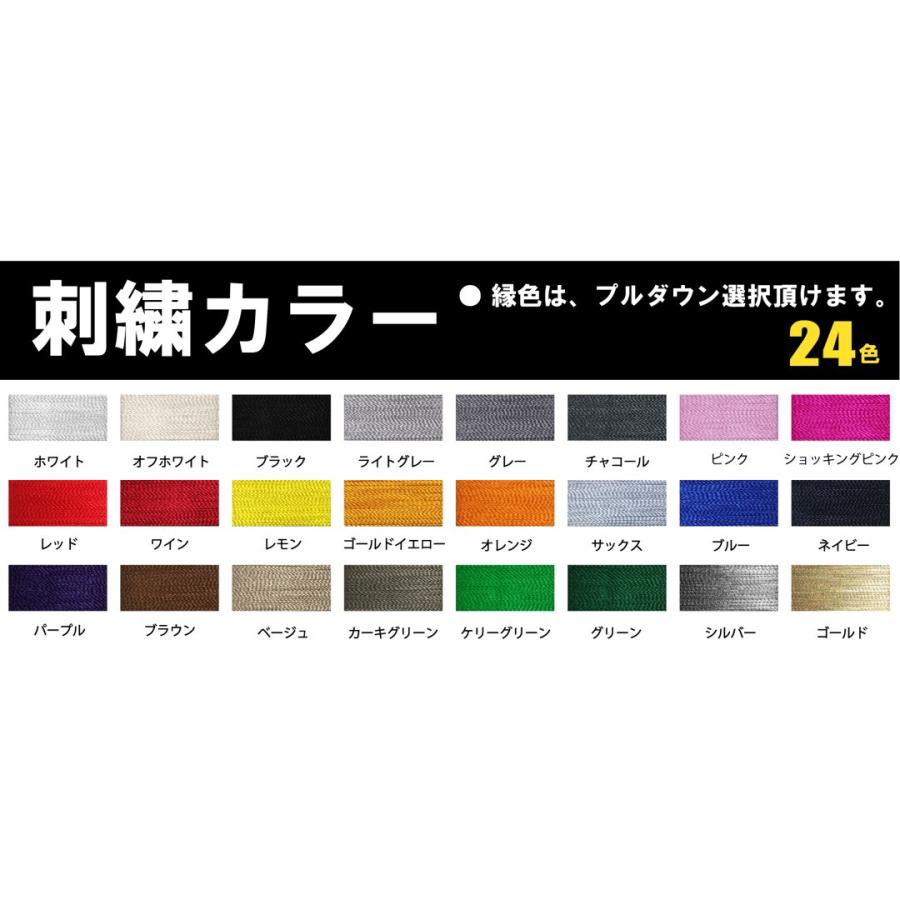 JAPAN WAPPEN ジャパン ワッペン 特大 アイロン接着【ゆうパケット配送