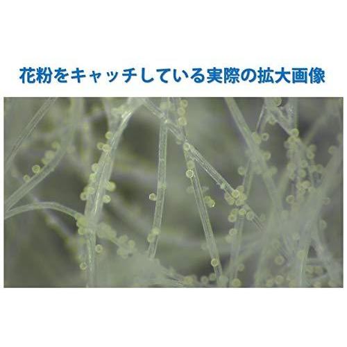 一番の 網戸用 ブロック 砂埃 96 8 花粉 ナノキャッチフィルター 日本製 約１メートルｘ約２メートル 両面テープ 日本製 付 サンエス製 網戸 玄関網戸 Www Propac Ma