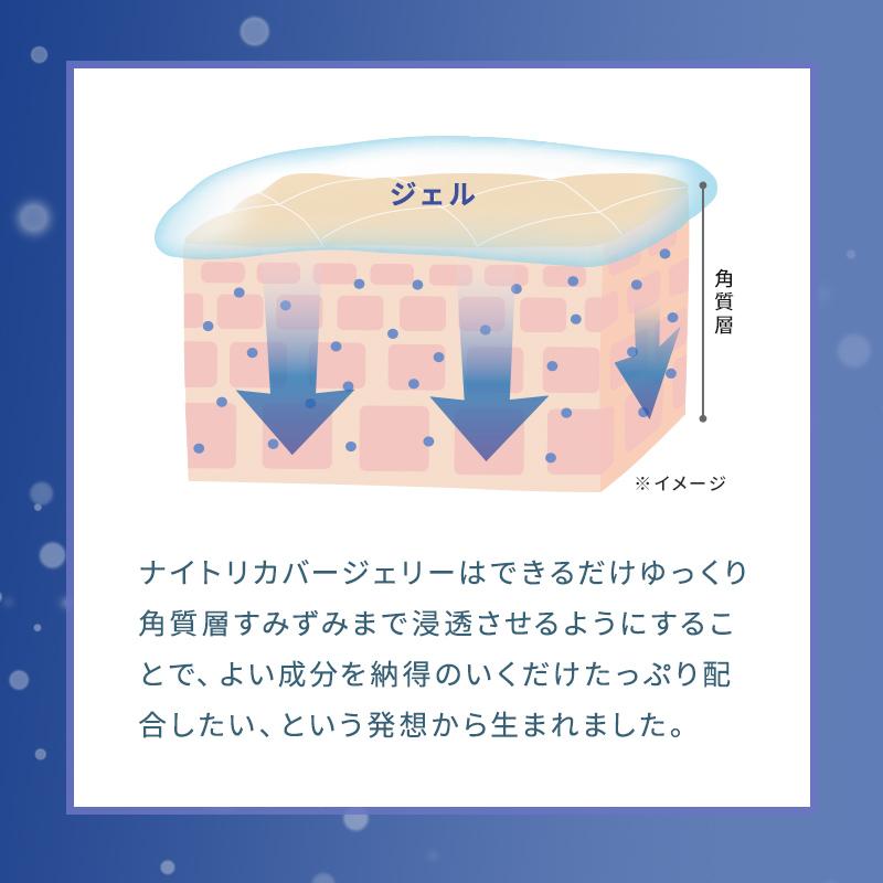 HABA（ハーバー） ハーバー公式 ナイトリカバージェリー 50g （夜用