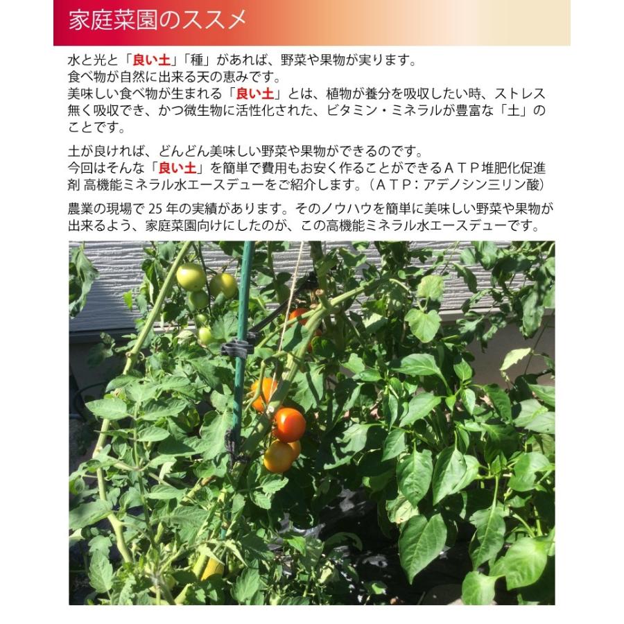 土作り 有機 ａｔｐ 堆肥化 促進剤 家庭菜園 オーガニック 有機肥料 野菜 果物 簡単 高機能ミネラル水 糞尿0kgを肥料化 消臭化 日本製 農業資材 送料無料 Sms 伝統工芸とインテリアplus 通販 Yahoo ショッピング