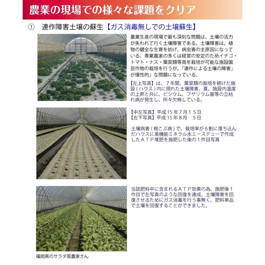 土作り 有機 ａｔｐ 堆肥化 促進剤 家庭菜園 オーガニック 有機肥料 野菜 果物 簡単 高機能ミネラル水 糞尿0kgを肥料化 消臭化 日本製 農業資材 送料無料 Sms 伝統工芸とインテリアplus 通販 Yahoo ショッピング