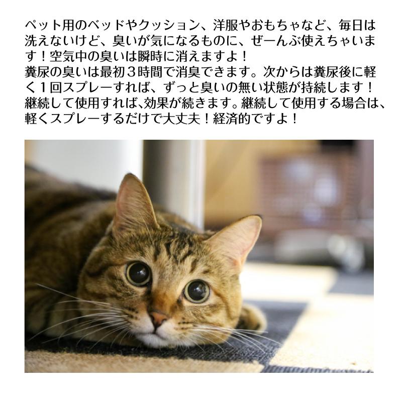 消臭剤 ペット 消臭 犬 猫 超強力 原液 30ml 1000希釈 350ml容器で84本相当 30L相当 業務用 トイレ 庭 アンモニア臭 尿臭 便臭 安全 日本製 まとめ買い｜habitz-mall-ookawa｜06