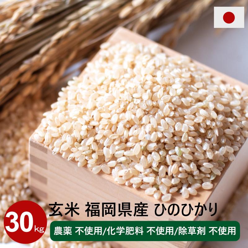 新米玄米 30kg 農薬不使用 化学肥料不使用 オーガニック 循環型農法