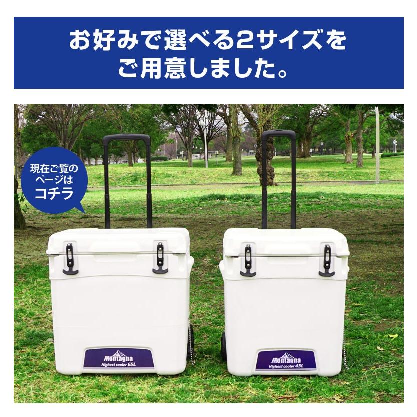 クーラーボックス 5日間保冷 65L 大型 大容量 ハードクーラー