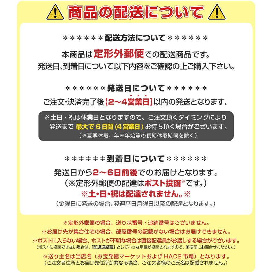 ワイヤレスイヤホン Bluetooth5.1 イヤホン iPhone 完全ワイヤレス