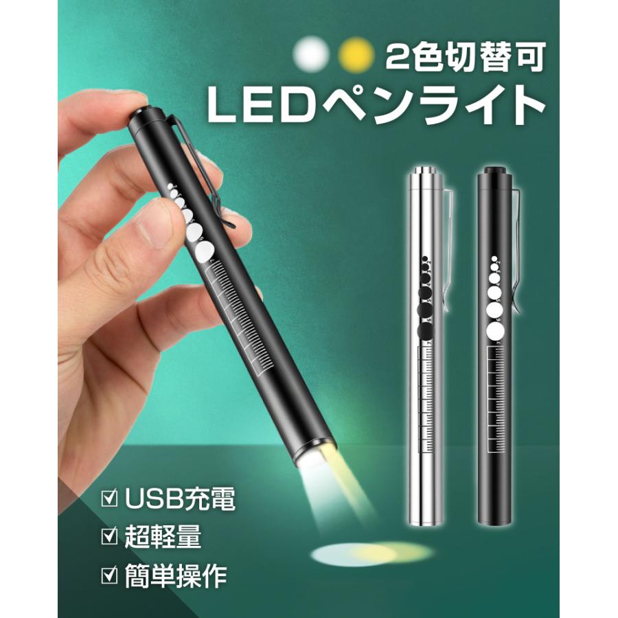ペンライト 医療 医療用 LED USB充電 メディカル 歯科 歯科医 瞳孔
