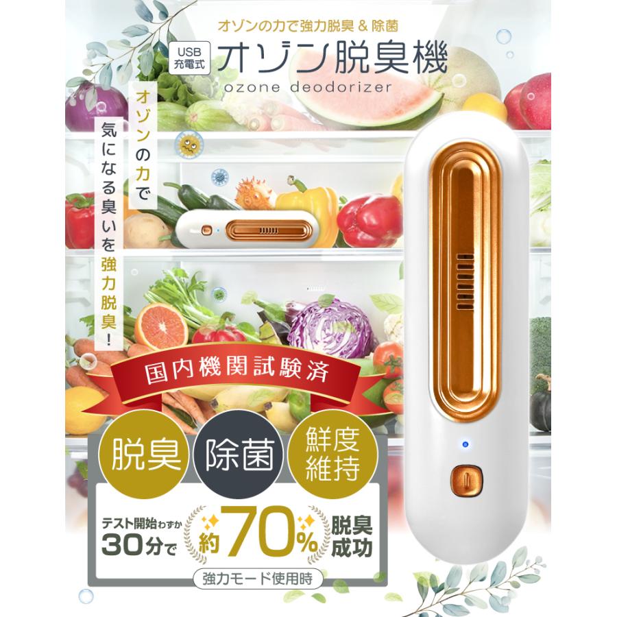 オゾン脱臭機 消臭器 オゾン発生器 ミニ空気清浄機 冷蔵庫 除菌 オゾン脱臭機 消臭器 オゾン発生器 ミニ空気清浄機 冷蔵庫 除菌
