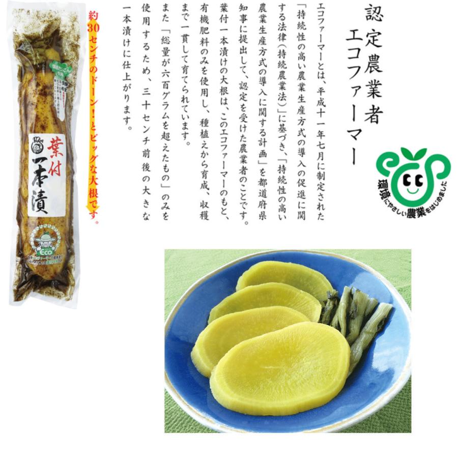 アウトレット ご飯のお供 瓶詰め 食べるオイスターソース 220g 食べるソース 牡蠣 オイスター 万能調味料 ピリ辛 観光土産 惣菜 おかず ご飯のおとも ごはんのおとも おみやげ おにぎり 食べるオイスターソース ご飯のお供 豆腐 肉料理 魚料理 万能だれ ごま油 唐辛子 かき 牡蠣 夢えちご
