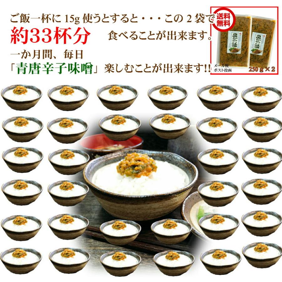 無料配達 送料無料 青唐がらし味噌 250g×2個セット 国産みそ使用 辛子 味噌 お試し メール便 ごはんのとも 青唐 ご飯のお供 お取り寄せグルメ  その他惣菜、料理