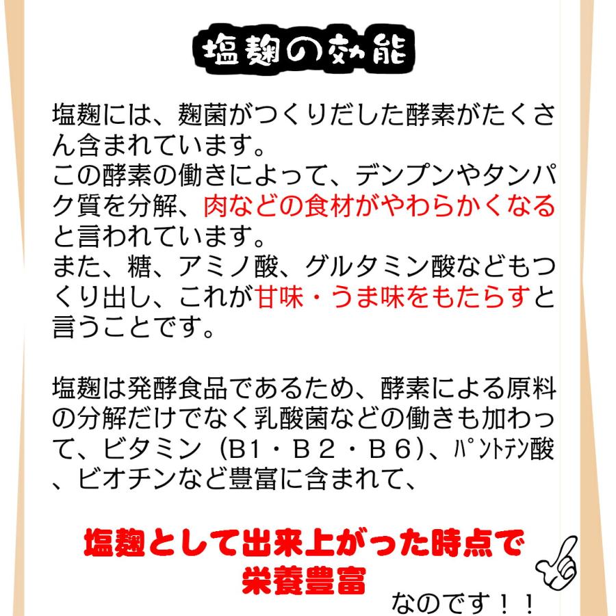 塩麹 粉末タイプ 200g×3個セット ふりかけるだけ メール便   米麹 乾燥 米こうじ 送料無料 こめ麹  しおこうじ かんたん 使いやすい パ｜hachian｜03