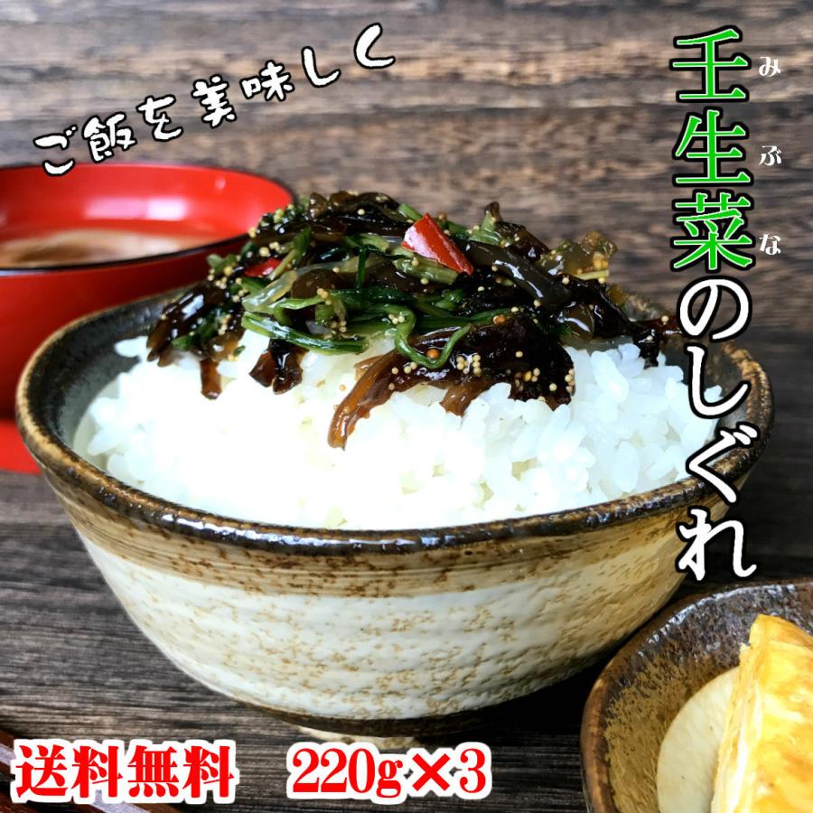 壬生菜のしぐれ2g 3パック ちょっぴりお得な3個セット ポスト投函 送料無料 おかず ご飯のお供 みぶな みぶ菜のしぐれ 壬生菜 佃煮 京野菜 京都 手土産 Brk 003 3dm ご飯のお供 八庵 はちあん 通販 Yahoo ショッピング