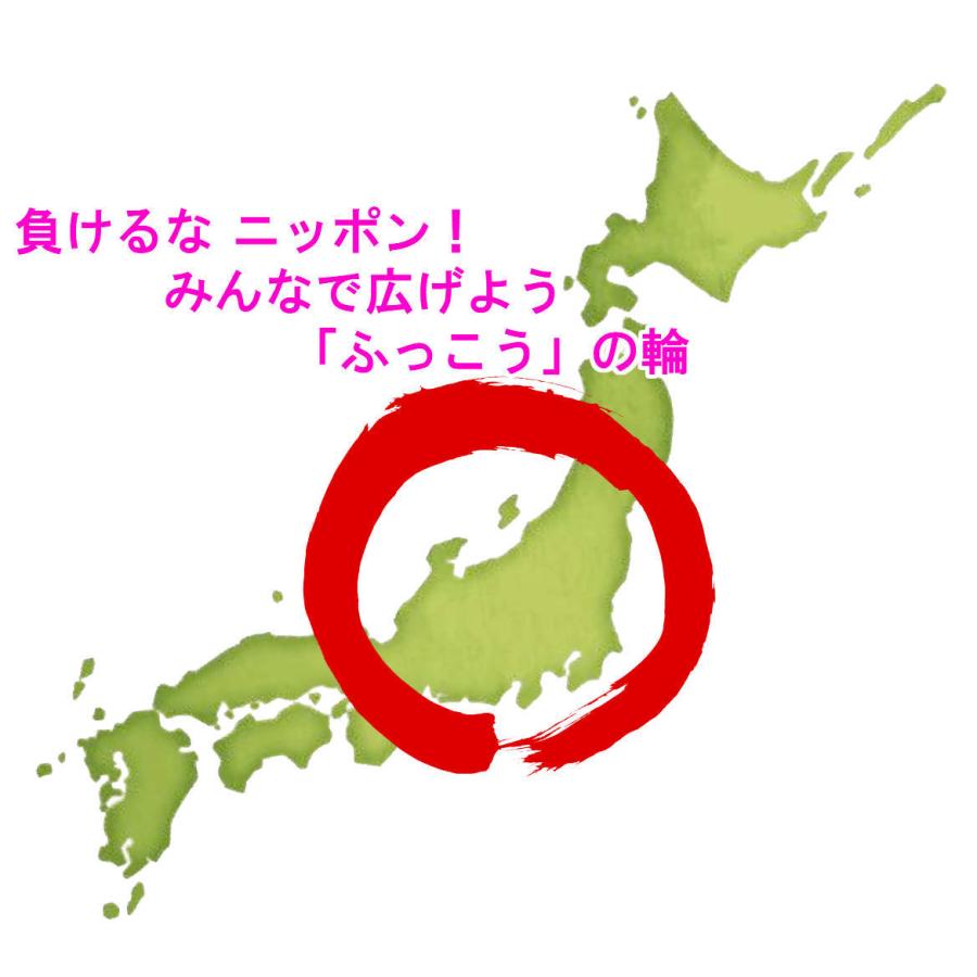 日本未入荷 福袋 2022 初売り ご当地 グルメ 詰め合わせ 応援 食品 復袋 丹波 但馬 兵庫 京都 物産 復興 ふっこう 3 240 円 常温便 送料無料 土産 wantannas.go.id 日本未入荷 福袋 2022 初売り ご当地 グルメ 詰め合わせ 応援 食品 復袋 丹波 但馬 兵庫 京都 物産 復興 ふっこう 3 240 円 常温便 送料無料 土産 wantannas.go.id
