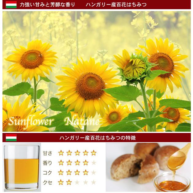 はちみつ 蜂蜜 ハチミツ ハンガリー産百花はちみつ300g 百花蜜