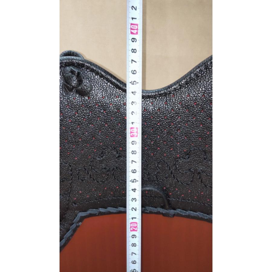 剣道　日本製　樹脂胴　富士山　国内200個限定　激レア　特注 ✨2026年モデル、いよいよ登場。 今年はさらに進化──日本製の材料を