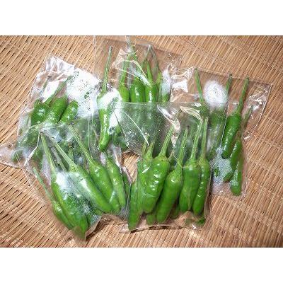 島とうがらしのパック : 八丈島特産品市場 - 通販 - Yahoo!ショッピング