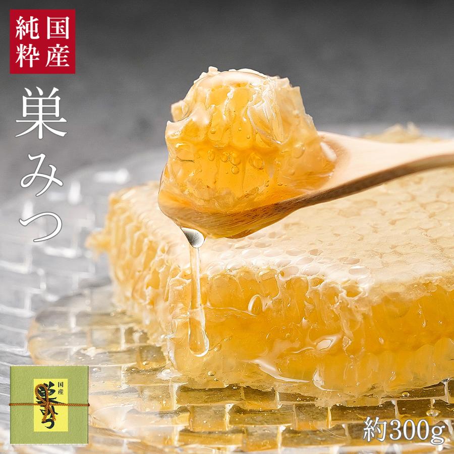 国産純粋 巣みつ 純粋蜂蜜 国産はちみつ ギフト : 九州蜂の子 国産純粋 巣みつ 純粋蜂蜜 国産はちみつ ギフト : 九州蜂の子