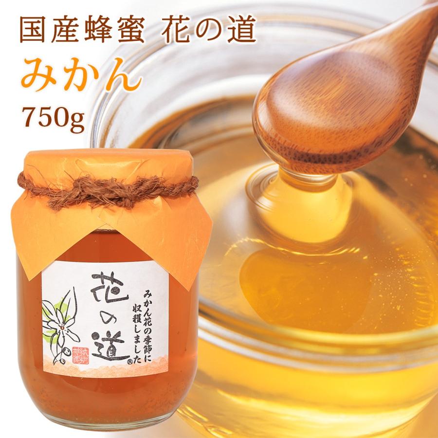 格安 価格でご提供いたします 国産蜂蜜 花の道 みかん 750g Cisama Sc Gov Br