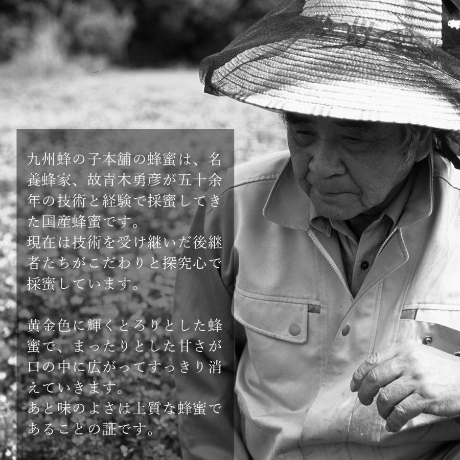 2026年新蜜 国産はちみつ花の道 早春みつ（さくら）140g : 九州蜂の子
