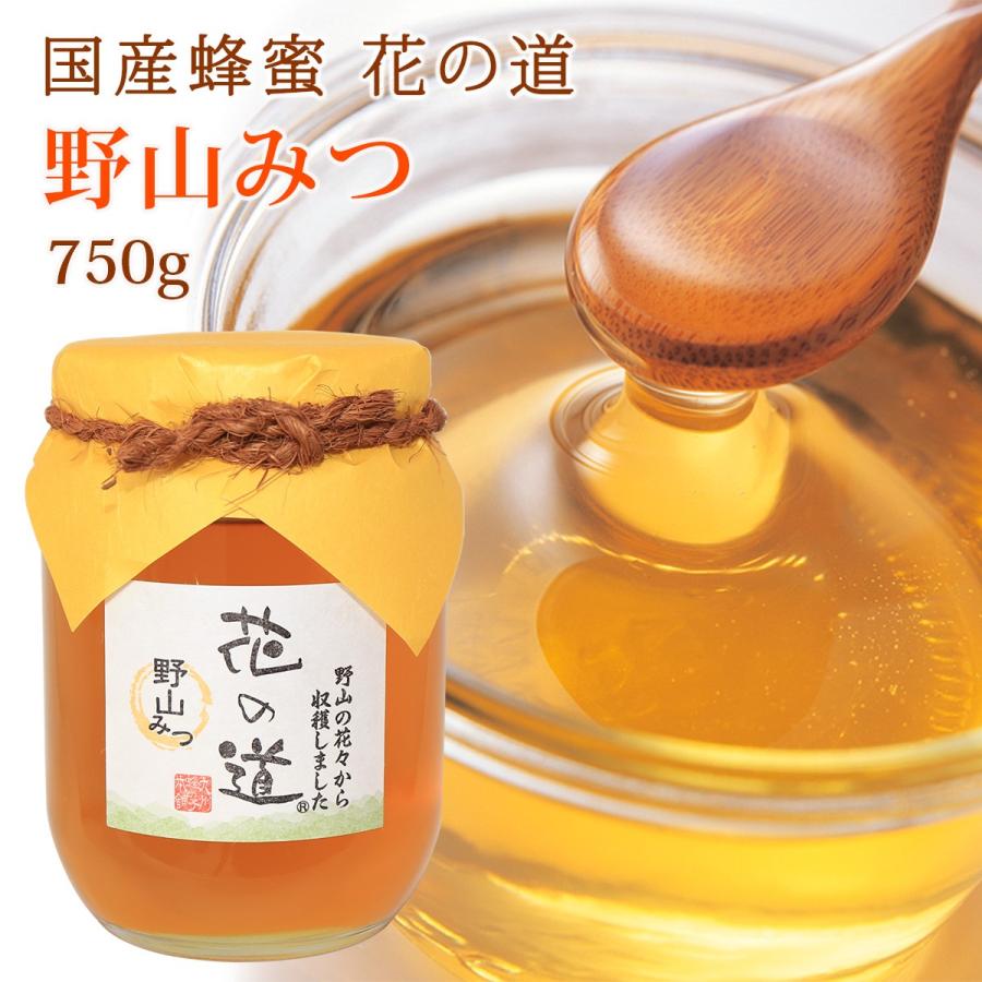 国産蜂蜜 花の道 野山みつ 750g : 九州蜂の子本舗ヤフー店 - 通販