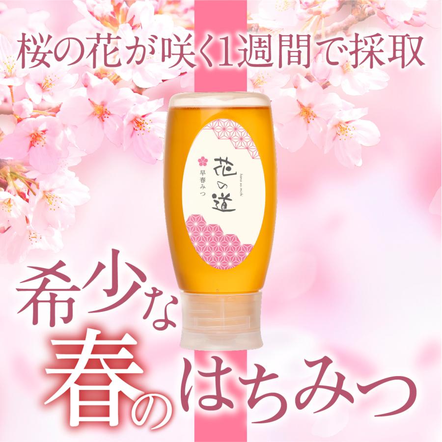 2026年新蜜 国産はちみつ花の道 早春みつ（さくら）500g ハニーボトル