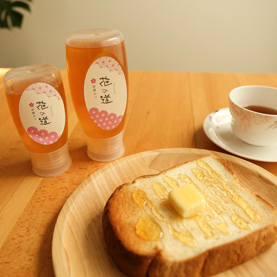 2026年新蜜 国産はちみつ花の道 早春みつ（さくら）500g ハニーボトル