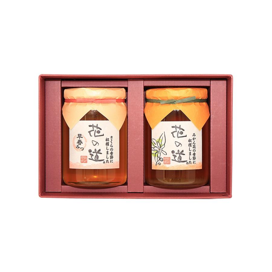 国産はちみつ 2種類選べる蜂蜜ギフト 430g 2本 ギフト : 九州蜂の子