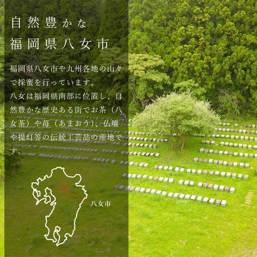 国産はちみつ 2種類選べる蜂蜜ギフト 430g 2本 ギフト : 九州蜂の子