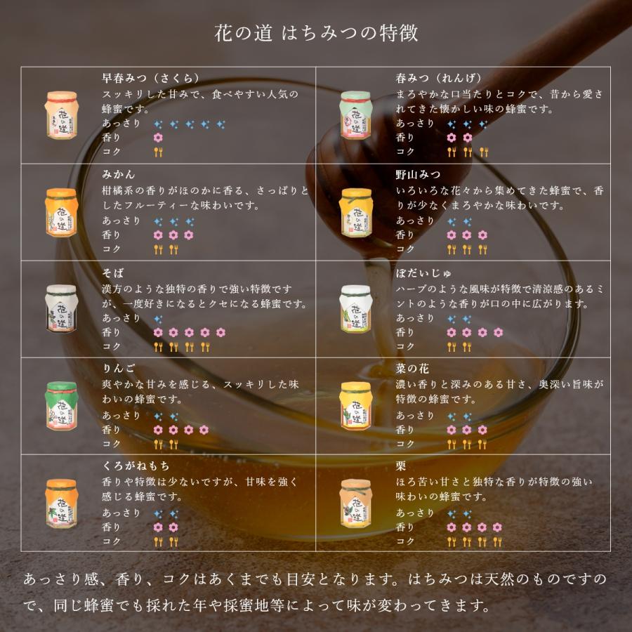 国産はちみつ 2種類選べる蜂蜜ギフト 430g 2本 ギフト : 九州蜂の子