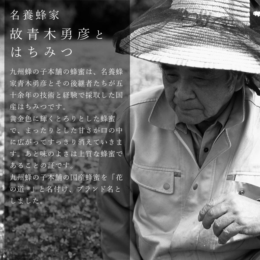 国産はちみつ 2種類選べる蜂蜜ギフト 140g 2本 ギフト : 九州蜂の子