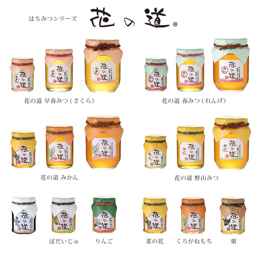 2025年新蜜 国産純粋 極巣みつ 花の道蜂蜜 140g×2本ギフト 国産