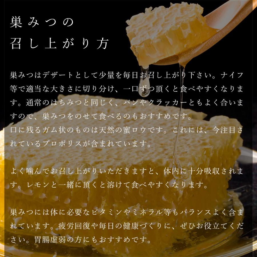 食品 ♥️極み♢稀少限定コラボ品『100％純粋春蜜と幻の天然完熟秋蜜の