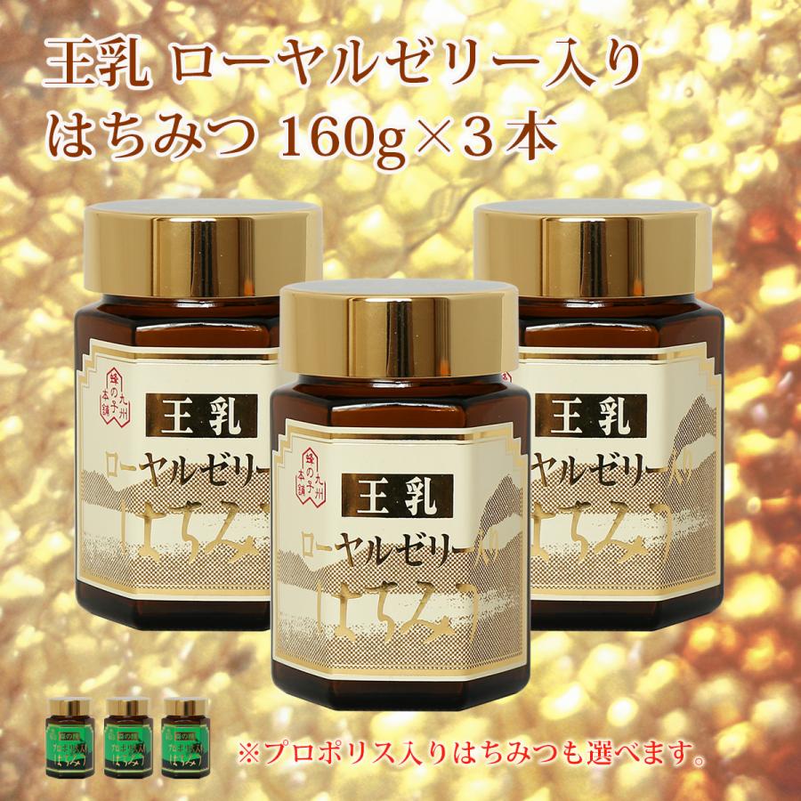 ローヤルゼリー入りはちみつ 王乳 160g 3個セット価格 : 九州蜂の子 