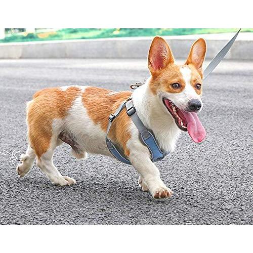 Untyo 捧呈 犬 ハーネス 中型犬 小型犬 7 5 14kg 引っ張り防止胴輪 抜けない 脱着簡単 通気性 安心散歩 夜間反射 軽 サイズ調整可能