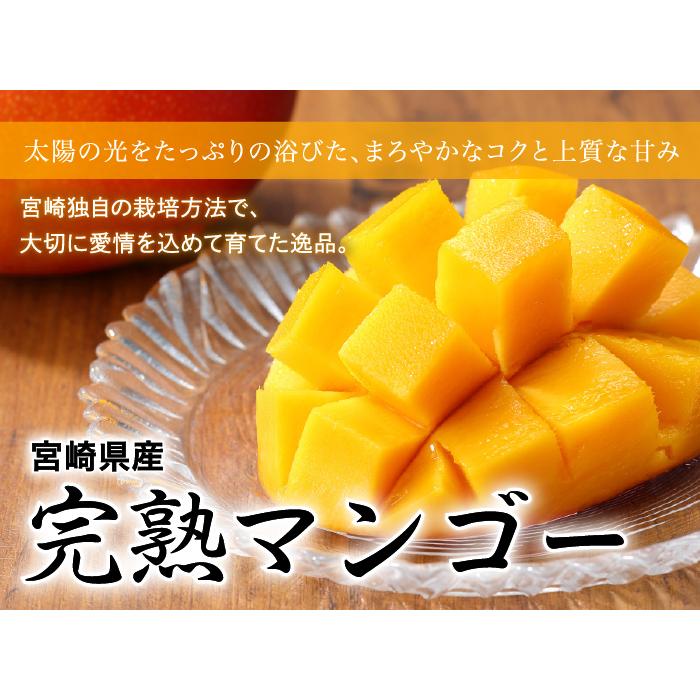 お中元 マンゴー みやざき完熟マンゴー 優品 4Lサイズ 500g以上×2玉