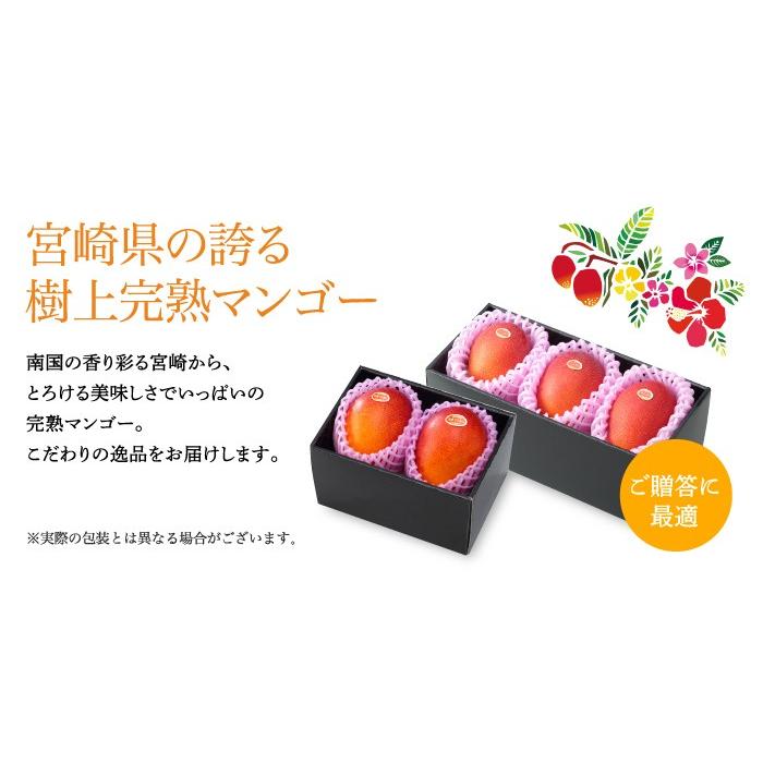 お中元 マンゴー みやざき完熟マンゴー 優品 4Lサイズ 500g以上×2玉