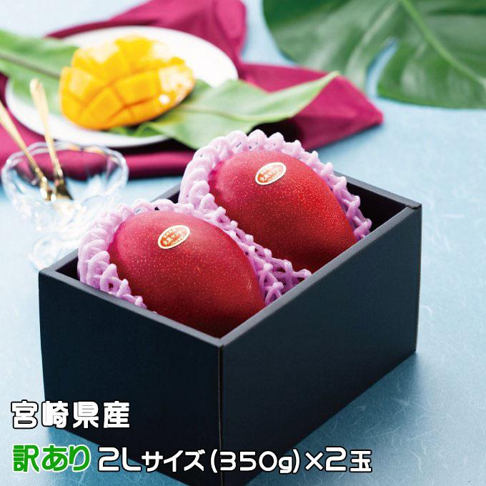 宮崎県産完熟マンゴー　2.2キロ【訳あり品】 マンゴー みやざき完熟マンゴー 風のいたずら 訳あり 2Lサイズ×2玉