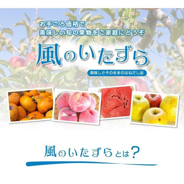 マンゴー みやざき完熟マンゴー 風のいたずら 訳あり 3Lサイズ×3玉 宮崎県産 ギフト お取り寄せグルメ 父の日｜hachiya-fruits｜02