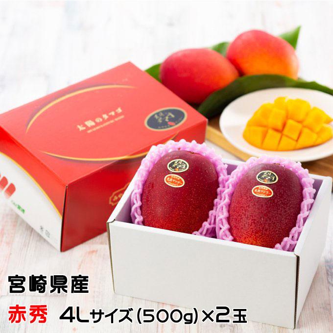 宮崎県産太陽のタマゴ赤秀4Lサイズ2玉入り化粧箱 マンゴー 太陽のタマゴ 赤秀 4L 500g以上×2玉 JA宮崎経済連 宮崎県産